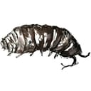 The Woodlouse logo (black and white pen and ink drawing of a woodlouse)